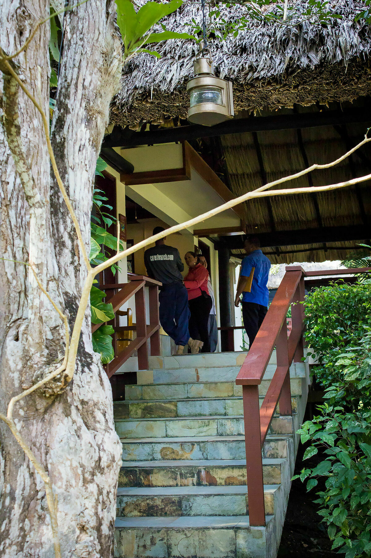 סן איגנאסיו The Lodge At Chaacreek מראה חיצוני תמונה